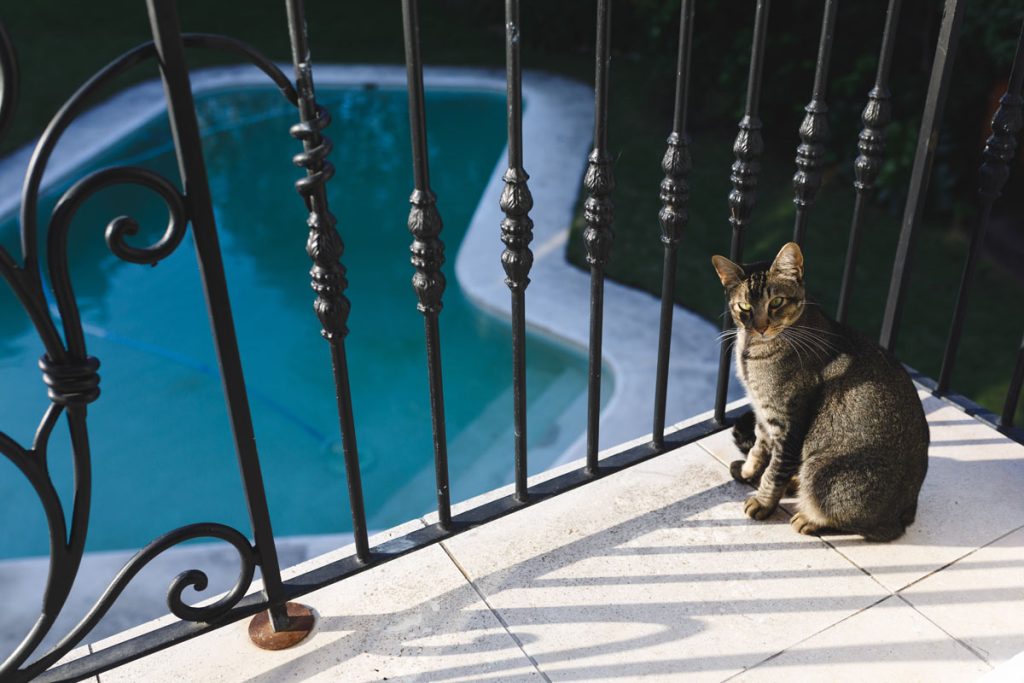 Pool Fence Maintenance
